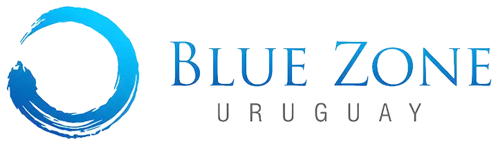 Blue Zone logo